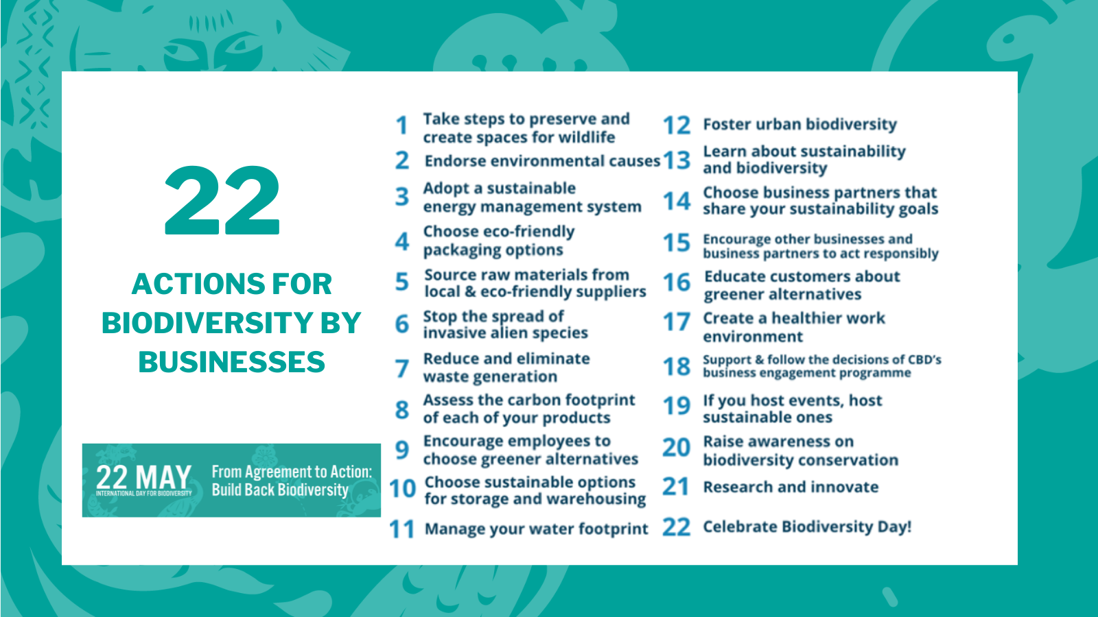 INT. DAY OF BIODIVERSITY 2023: ECOCARE GHANA CALLS FOR CONCRETE ACTIONS ...