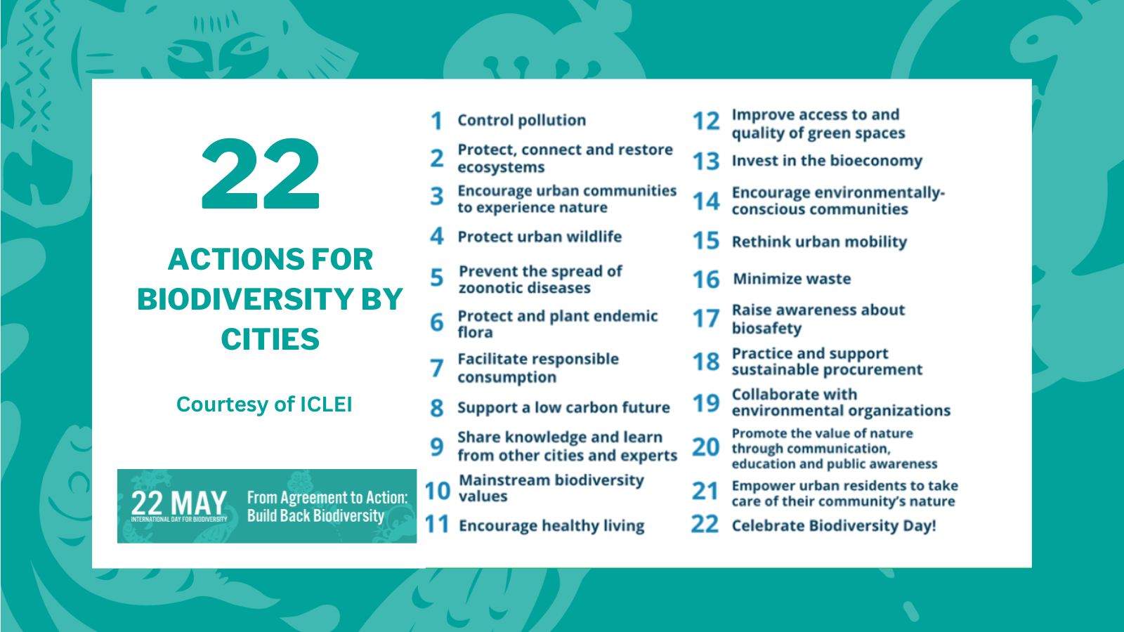 INT. DAY OF BIODIVERSITY 2023: ECOCARE GHANA CALLS FOR CONCRETE ACTIONS ...