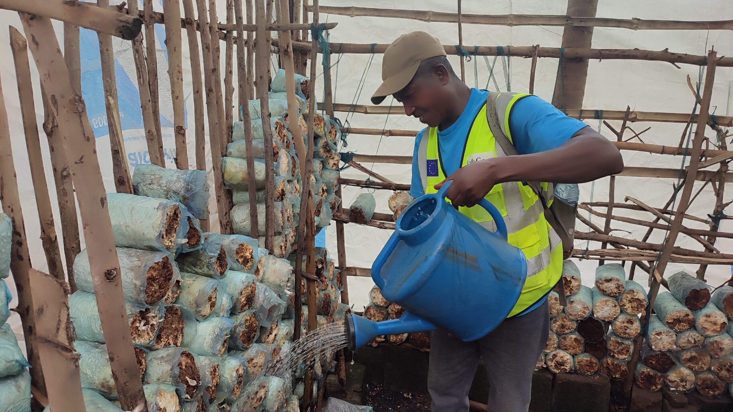 Read more about the article EU LEAN Project Transforms Livelihoods with Mushroom Farming